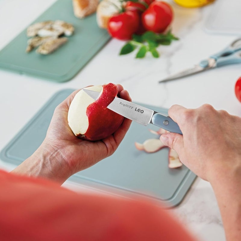 سكين تقشير من بيرغهوف - لوح أردواز 9 سم 29.8 × 5.8 × 1.5